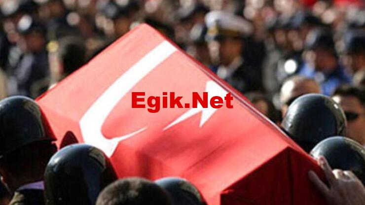 Son dakika haberi: MSB acı haberi duyurdu: 1 asker şehit oldu