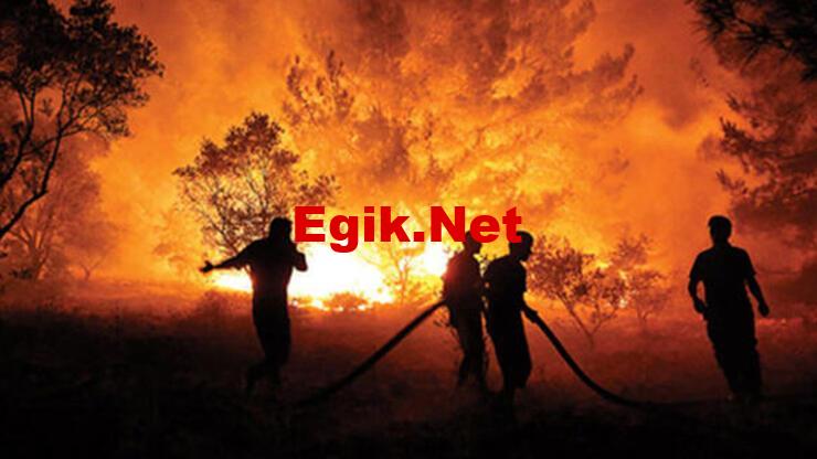 AFAD'dan 6 il için 'orman yangını' uyarısı