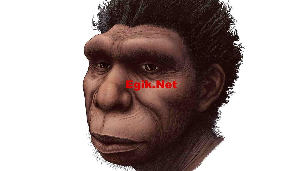 Bilim dünyası şokta, yeni bir insan türü bulundu: Homo bodoensis