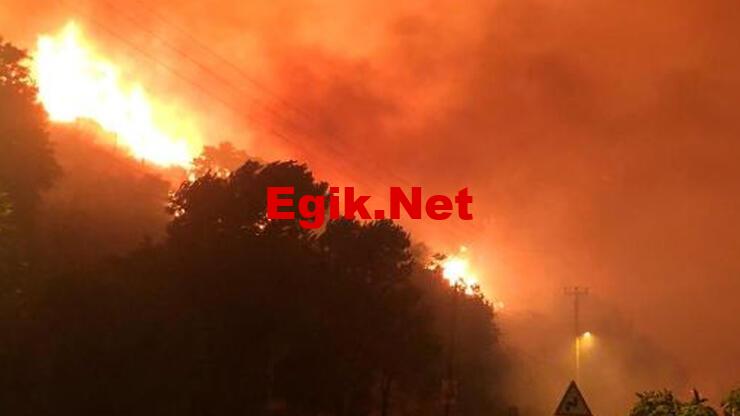 Çeşme'de otluk alanda yangın çıktı