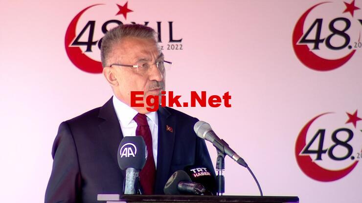 Cumhurbaşkanı Yardımcısı Oktay': Hidrokarbon kaynakları Rumun oyuncağı değildir