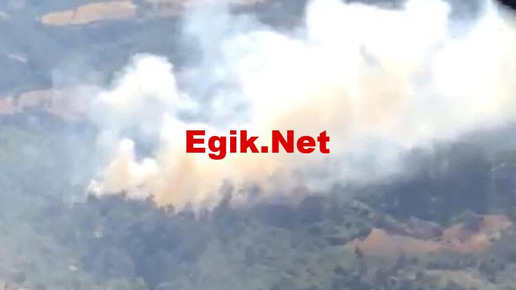 Manisa'da orman yangını