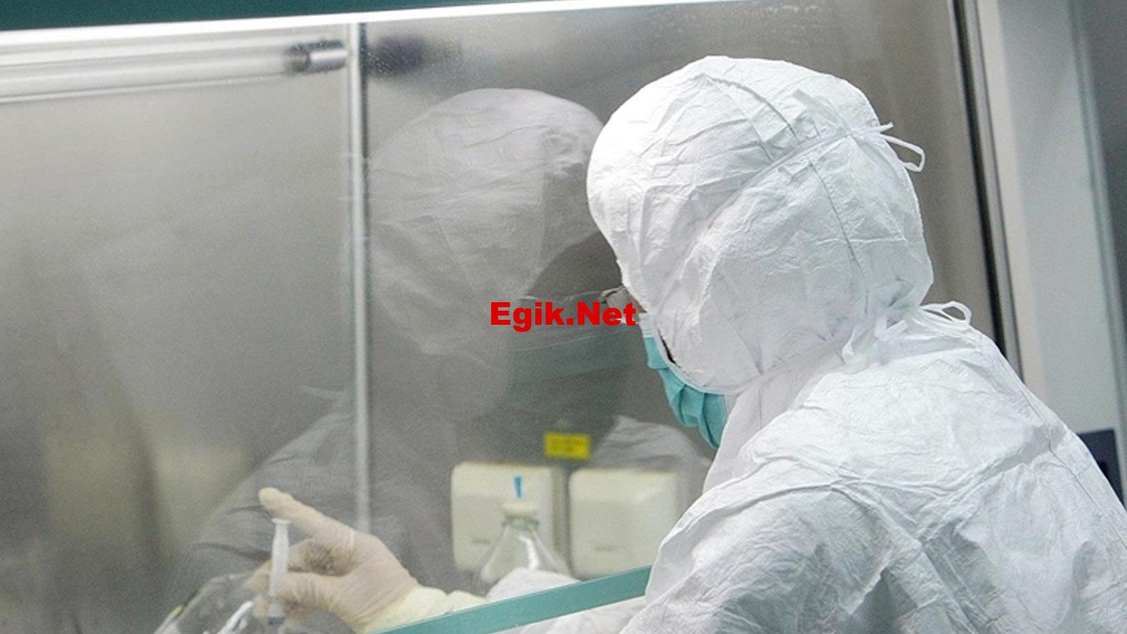 Maymun çiçeği virüsü hızla yayılıyor… Bir ülkeye daha sıçradı