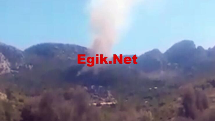 SON DAKİKA: Antalya, Serik'te orman yangını!