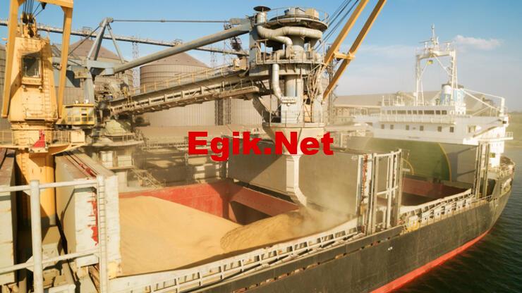 Tahıl koridoru anlaşması nedir, hangi ülkeler imzaladı? Tahıl koridoru anlaşması kapsamı!