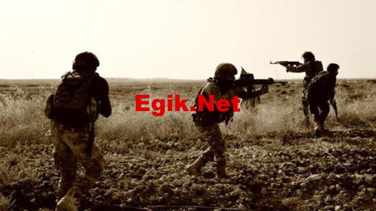 Bakan Soylu: Terör örgütü tarafından kaçırılmaya çalışılan kız çocuğu kurtarıldı