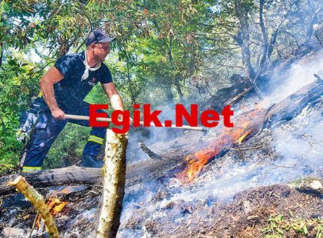 Gürcistan’da orman yangınları sürüyor