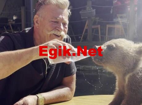 Haberler: Yeşilçam’ın kötü adamı Nuri Alço yavru boz ayı Liva’ya gazoz içirdi