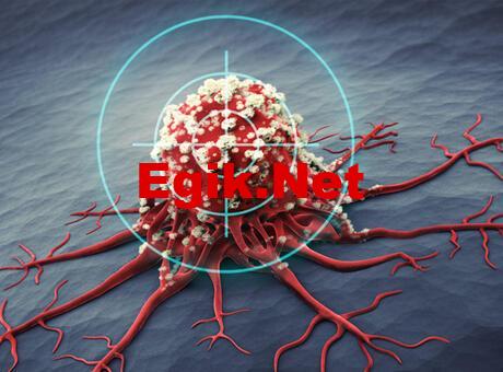 Hava kirliliği ve kanser ilişkisi, hastalıkla ilgili bildiklerimizi nasıl değiştirebilir?