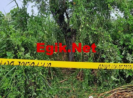 Resmen vahşet! İki kız kardeşin cesetleri ağaca asılı halde bulundu