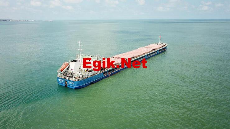 Tahıl sevkiyatında 6 gemi daha yola çıktı