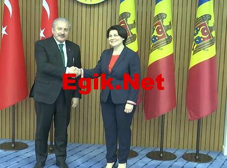 TBMM Başkanı Şentop, Moldova Başbakanıyla görüştü