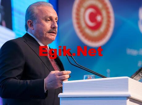 TBMM Başkanı Şentop’tan, ‘Sivas Kongresi’ mesajı