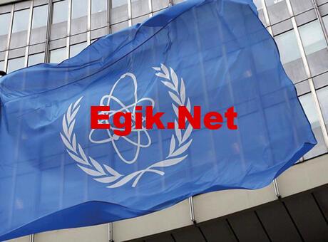 UAEA, Zaporijya Nükleer Santrali’ndeki ilk günkü incelemelerini tamamladı