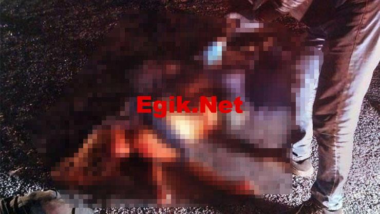Aydın'da korkunç olay: Yol kenarında kadın cesedi bulundu