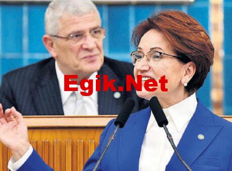 ‘Doğruyu öğrenmemizi istemiyorlar’