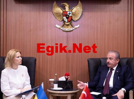 TBMM Başkanı Şentop: ‘Gerek ateşkes gerek kalıcı barışın temini için gayret göstermeye devam edeceğiz’