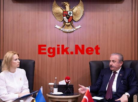 TBMM Başkanı Şentop: Kalıcı barışın temini için gayret göstermeye devam edeceğiz