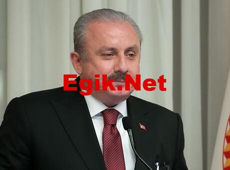 TBMM Başkanı Şentop’tan Cumhuriyet Bayramı mesajı