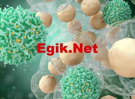 Bilim insanları ‘kişiye özel kanser tedavisi’ üzerine çalışıyor