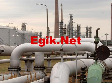 Druzhba petrol boru hattında sevkiyat yeniden başladı