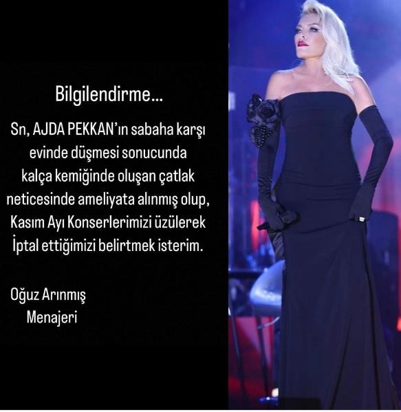 Süperstar Ajda Pekkan apar topar hastaneye kaldırıldı!