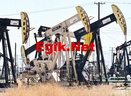 AB’nin Rusya’ya yönelik petrol yaptırımları yürürlüğe girdi