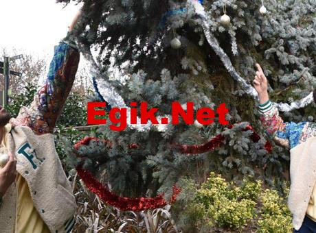 Faruk K: Ağaçları kesmeyin, yerinde süsleyin