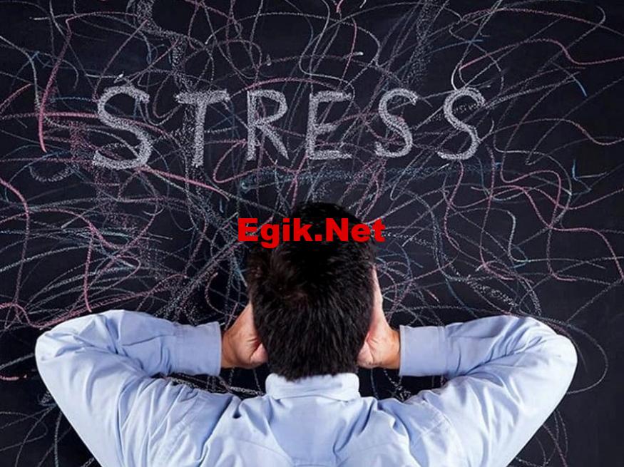 Almanya’da, bir grup bilim insanı, “gözlerden uzak bir şehir” tasarladı ve bu şehirde insanların stres seviyelerinin azaldığı gözlendi.