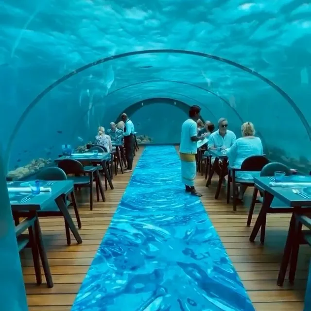 Norveç, dünyanın ilk su altı restoranını açtı. “Under” adlı restoran, Norveç’in