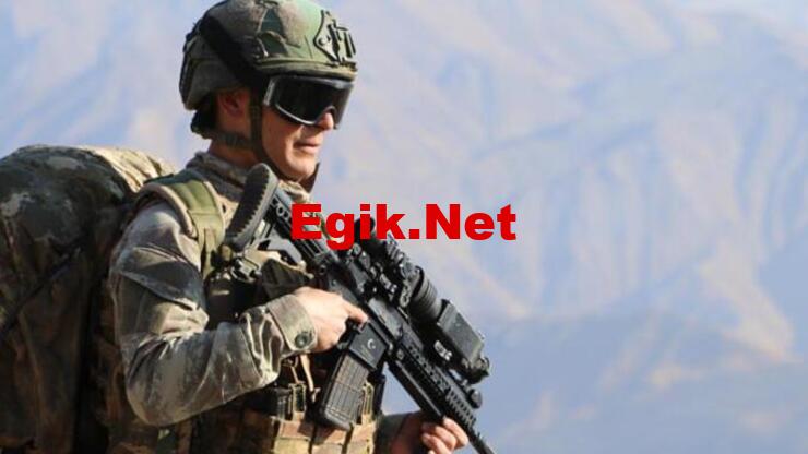 SON DAKİKA: Suriye'den Türkiye'ye girmeye çalışan 1 terörist yakalandı