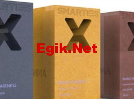 MMA Türkiye üyeleri Smarties X’den ödüllerle döndü