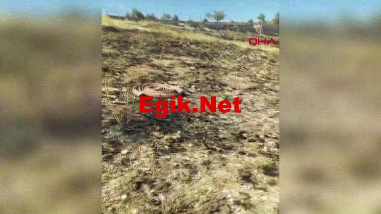 Hayalini kurduğu ormanda can verdi