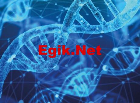 4 milyon kişinin DNA bilgisi çalındı