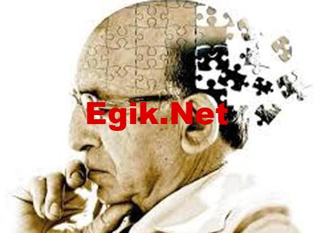 Bağırsak sağlığıyla Alzheimer bağlantılı