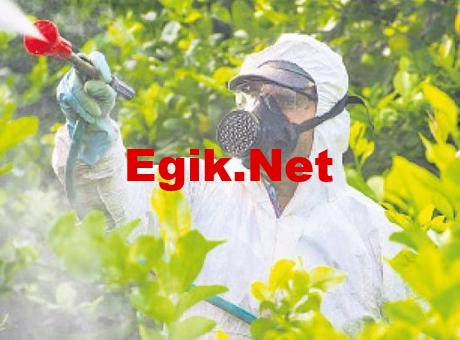 Böcek ilaçları doğurganlığa engel