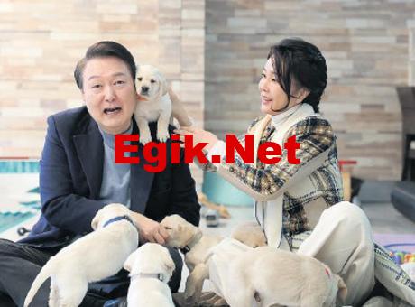 Güney Kore’de köpek eti yasağı