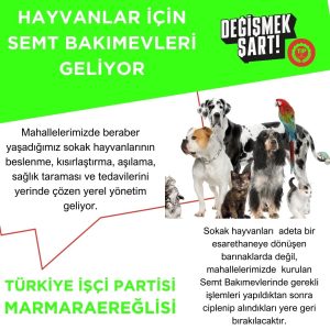 Marmaraereğlisi'nde Sokak Hayvanlarına Şefkat Eli