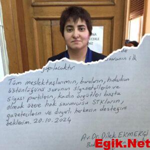 Avukat Dilek Ekmekçi Zorla Akıl Hastanesine Yatırıldı