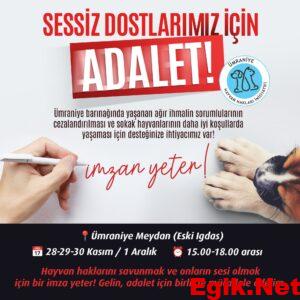 Ümraniye Hayvan Hakları İnisiyatifi'nden Büyük İmza Kampanyası