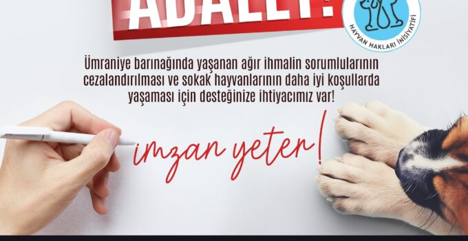 Ümraniye Hayvan Hakları İnisiyatifi’nden Büyük İmza Kampanyası