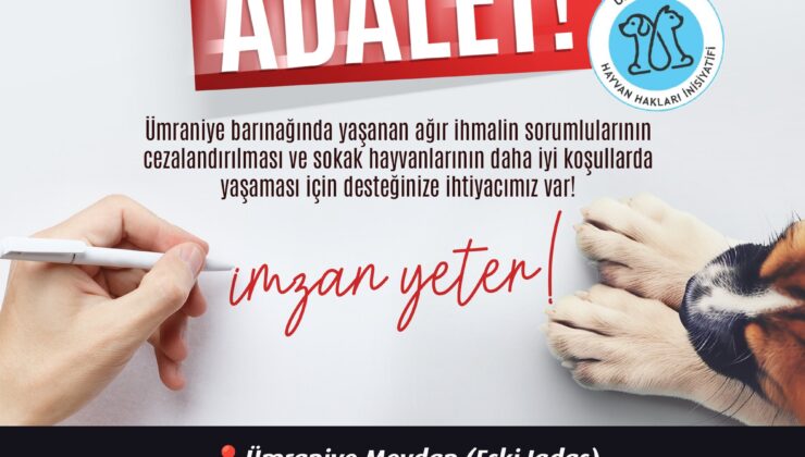Ümraniye Hayvan Hakları İnisiyatifi’nden Büyük İmza Kampanyası