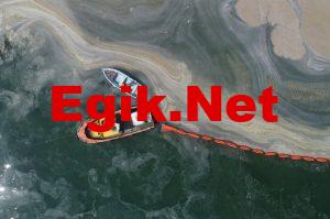 Marmara Denizi'nde Müsilaj Kabusu Geri Dönüyor: Yüzeye Ulaştı!