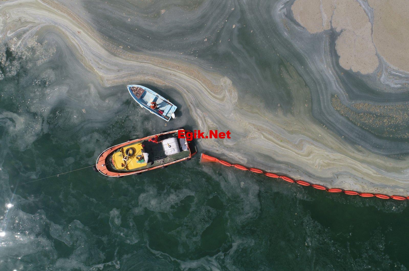 Marmara Denizi’nde Müsilaj Kabusu Geri Dönüyor: Yüzeye Ulaştı!