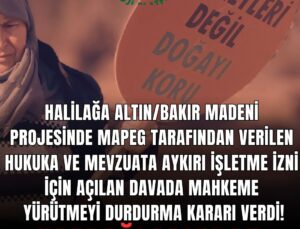 Cengiz Holding’in Kazdağları’ndaki Ağaç Katliamı Mahkeme Kararına Rağmen Sürüyor!