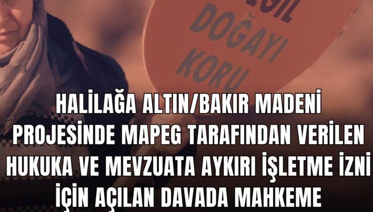 Cengiz Holding’in Kazdağları’ndaki Ağaç Katliamı Mahkeme Kararına Rağmen Sürüyor!