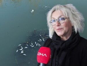 Eyüpsultan’da tedirgin eden görüntü! Uzman isim uyardı: Asla hafife alınmaması lazım