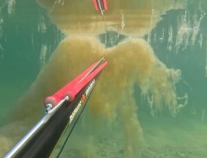 İstanbul’da tedirgin eden müsilaj görüntüsü