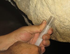 Türkiye’de bir ilk! 170 metre uzunluğundaki mağarada bulundu: İlaç yapımında kullanılacak