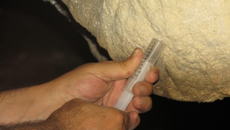 Türkiye’de bir ilk! 170 metre uzunluğundaki mağarada bulundu: İlaç yapımında kullanılacak